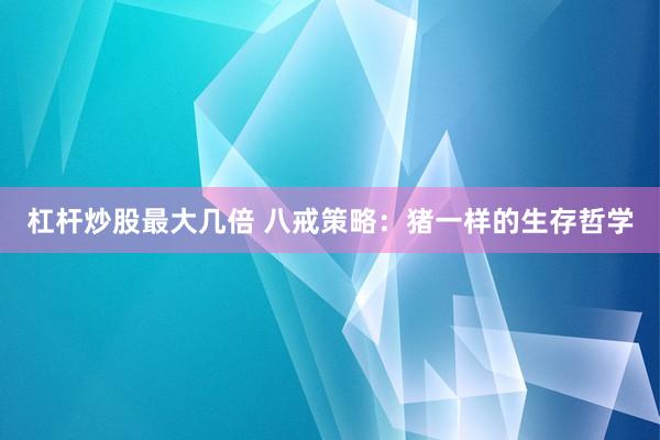 杠杆炒股最大几倍 八戒策略：猪一样的生存哲学