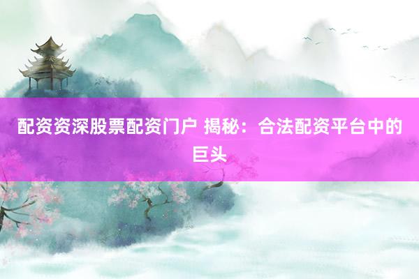 配资资深股票配资门户 揭秘：合法配资平台中的巨头