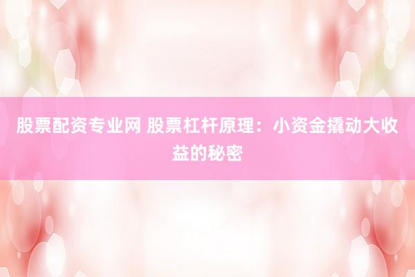 股票配资专业网 股票杠杆原理：小资金撬动大收益的秘密