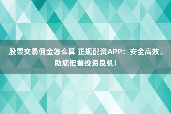 股票交易佣金怎么算 正规配资APP：安全高效，助您把握投资良机！