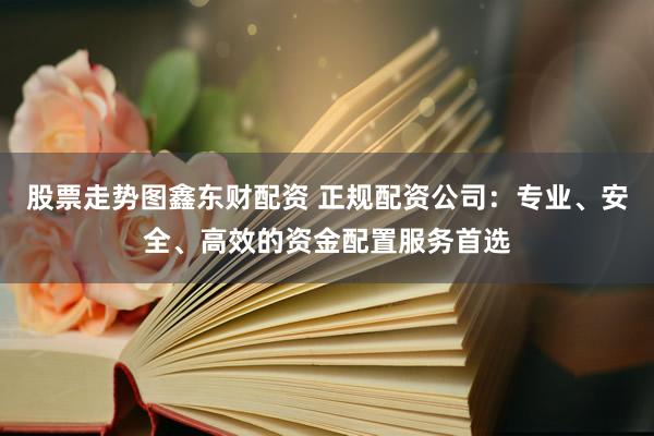 股票走势图鑫东财配资 正规配资公司：专业、安全、高效的资金配置服务首选