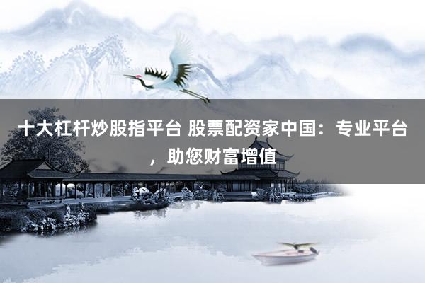 十大杠杆炒股指平台 股票配资家中国：专业平台，助您财富增值