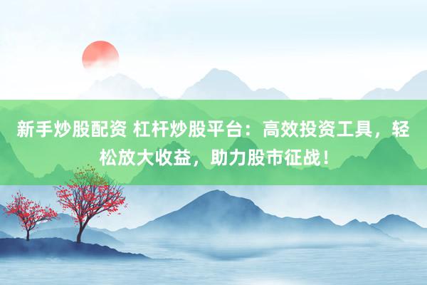 新手炒股配资 杠杆炒股平台：高效投资工具，轻松放大收益，助力股市征战！