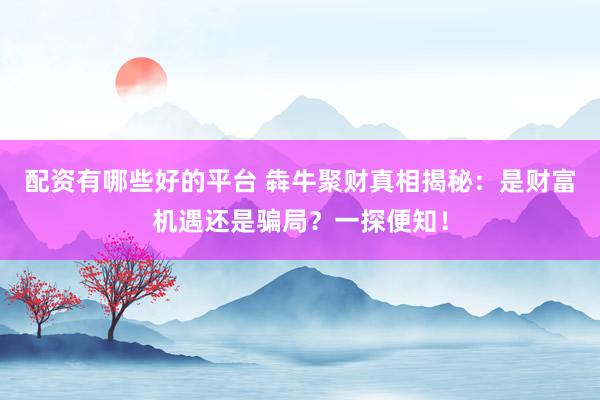 配资有哪些好的平台 犇牛聚财真相揭秘：是财富机遇还是骗局？一探便知！