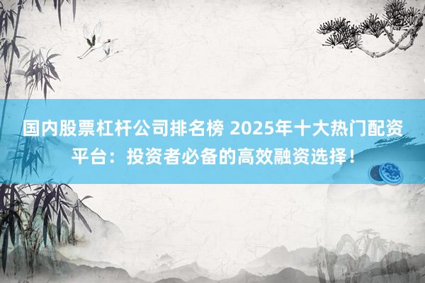 国内股票杠杆公司排名榜 2025年十大热门配资平台：投资者必备的高效融资选择！