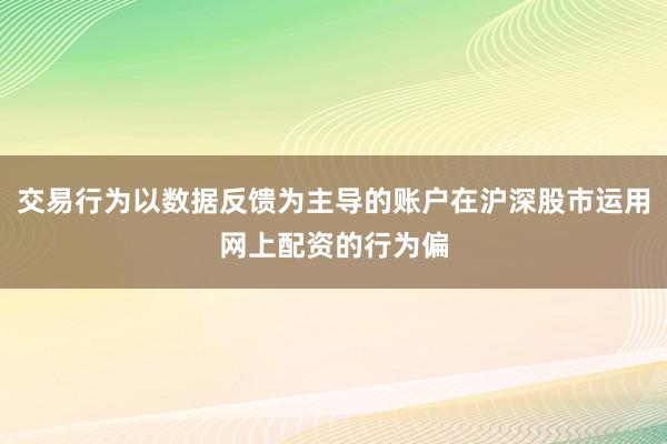 交易行为以数据反馈为主导的账户在沪深股市运用网上配资的行为偏