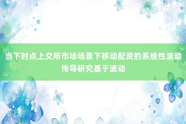 当下时点上交所市场场景下移动配资的系统性波动传导研究基于波动