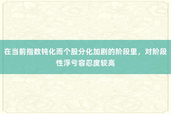 在当前指数钝化而个股分化加剧的阶段里，对阶段性浮亏容忍度较高