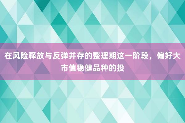 在风险释放与反弹并存的整理期这一阶段,偏好大市值稳健品种的投