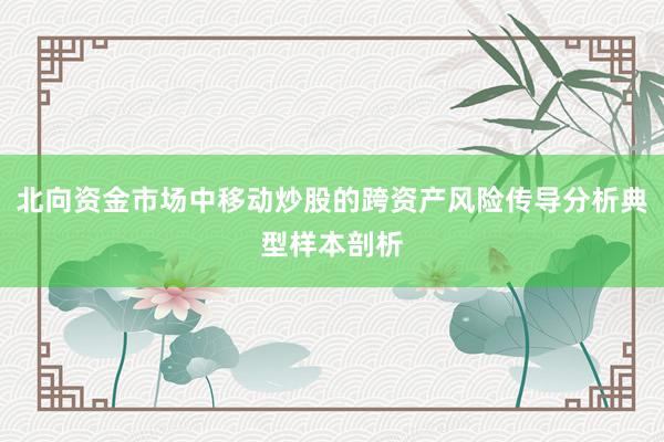 北向资金市场中移动炒股的跨资产风险传导分析典型样本剖析