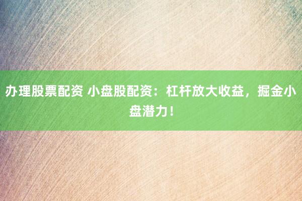 办理股票配资 小盘股配资:杠杆放大收益,掘金小盘潜力!