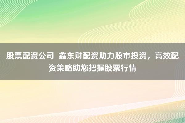 股票配资公司  鑫东财配资助力股市投资，高效配资策略助您把握股票行情