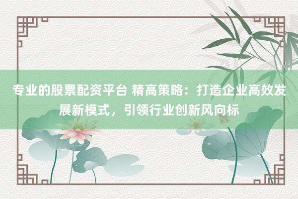 专业的股票配资平台 精高策略:打造企业高效发展新模式,引领行业创新风向标